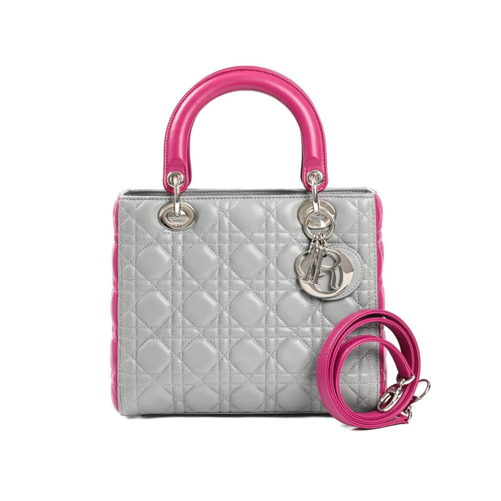 Christian Dior Lady Handbag Gray